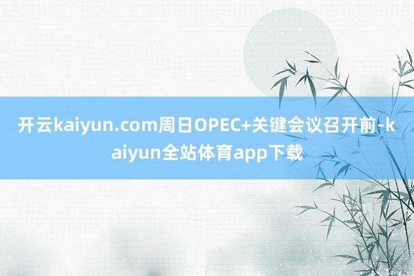 开云kaiyun.com周日OPEC+关键会议召开前-kaiyun全站体育app下载