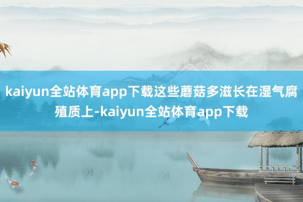 kaiyun全站体育app下载这些蘑菇多滋长在湿气腐殖质上-kaiyun全站体育app下载
