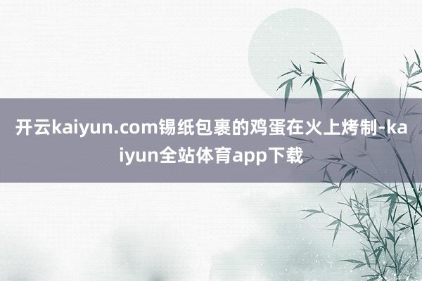 开云kaiyun.com锡纸包裹的鸡蛋在火上烤制-kaiyun全站体育app下载