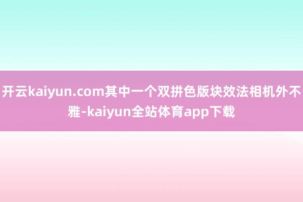 开云kaiyun.com其中一个双拼色版块效法相机外不雅-kaiyun全站体育app下载