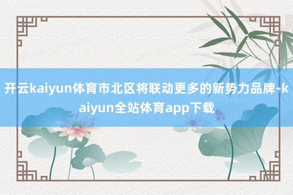 开云kaiyun体育市北区将联动更多的新势力品牌-kaiyun全站体育app下载
